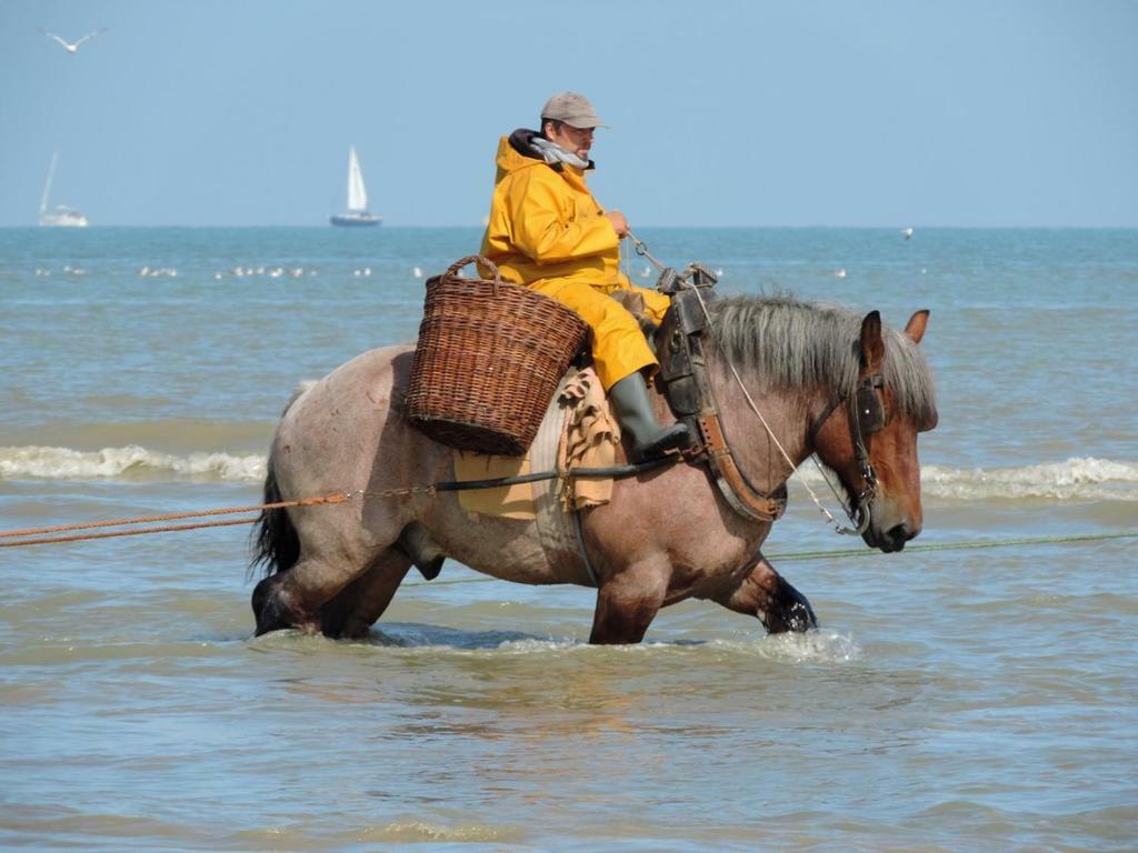 La Bohème Koksijde